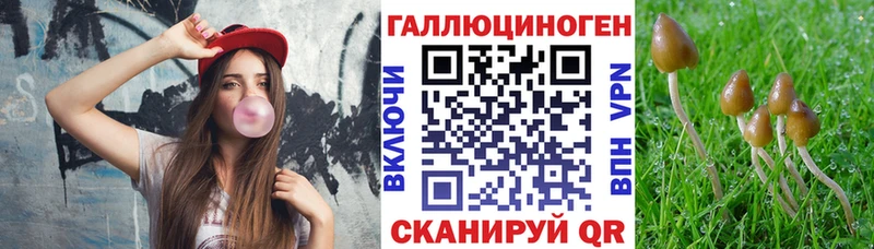 Купить  Астрахань  Галлюциногенные грибы GOLDEN TEACHER 
